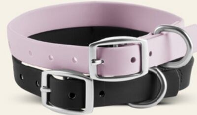 Bailey & Bella Waterproof Dog Collar