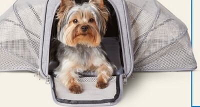 Bailey 7 Bella Commuter Grey Soft Carrier