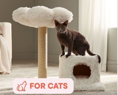 Delilah Cat Tree with Condo