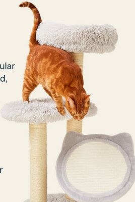 JUMP! Monty Cat Tree