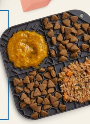 Essentials Charcoal Lick Mat with Spatula