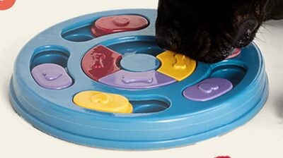 JUMP! Round Puzzle Dog Toy