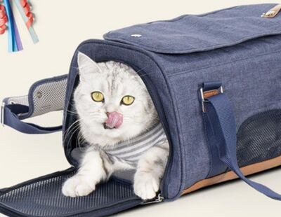 Bailey & Bella Jet Setter Navy Soft Carrier
