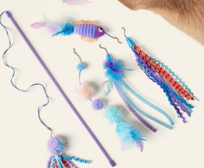 JUMP! 5-in-1 Fish Teaser Wand Set Cat Toy