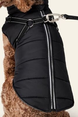 Bailey & Bella 2-in-1 Black Harness Vest