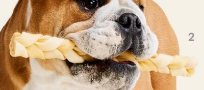 Performatrin Ultra Collagen Braid 12" Dog Treat