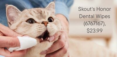 Skout's Honor Dental Wipes