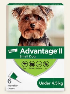Advantage II Topical Small Dog Flea Treatment 6…