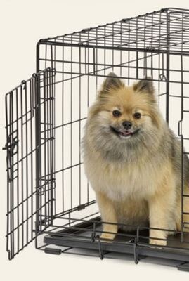 Essentials Single Door Wire Pet Crate