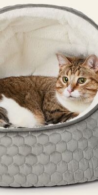 Bailey & Bella Cat Cave Grey Chalet Bed