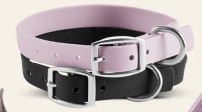 Bailey & Bella Waterproof Dog Collar