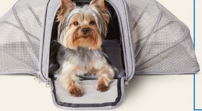 Bailey & Bella Commuter Grey Soft Carrier