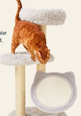 JUMP! Monty Cat Tree