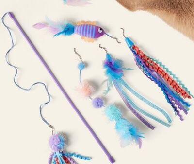 JUMP! 5-in-1 Fish Teaser Wand Set Cat Toy