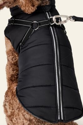 Bailey & Bella 2-in-1 Black Harness Vest