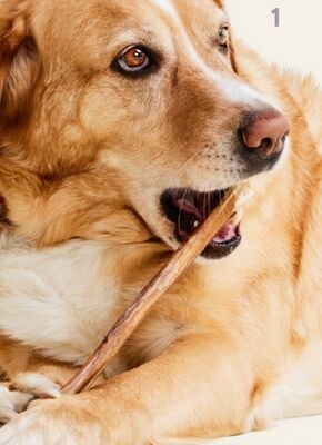Performatrin Ultra 12" Beef Bully Stick Dog Tre…
