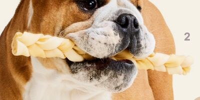 Performatrin Ultra Collagen Braid 12" Dog Treat