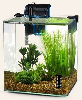 Penn-Plax Vertex Tank Kit