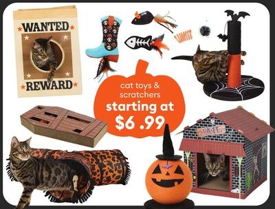 jouets et griffoirs pour chats