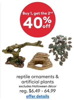 Décorations en forme de reptiles et plantes art…