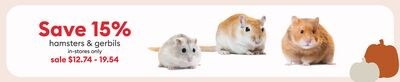 Hamsters et gerbilles En magasin seulement