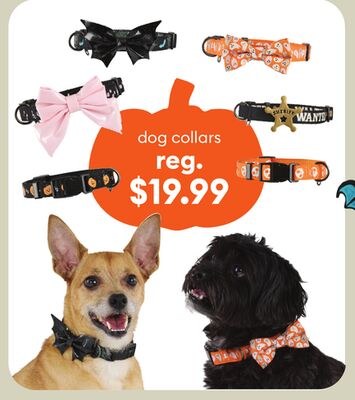 colliers pour chiens