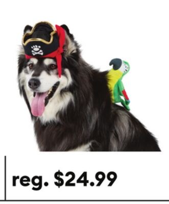 Ensemble de costumes de pirates pour chien et c…