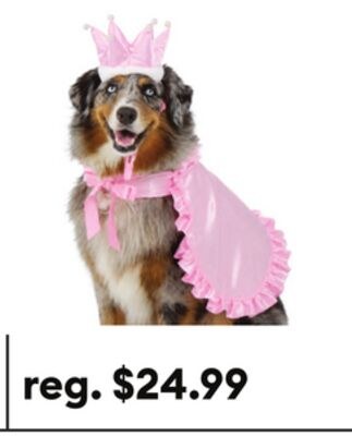 Ensemble de costumes de princesse Thrills & Chi…