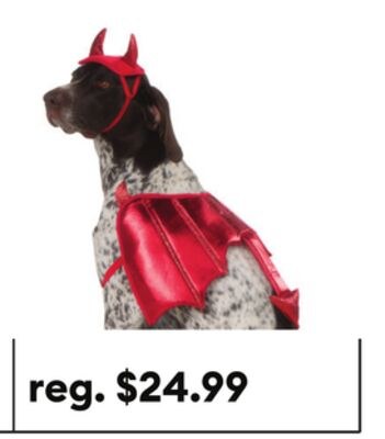Ensemble de costumes pour chien et chat diaboli…