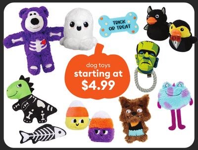 jouets pour chiens