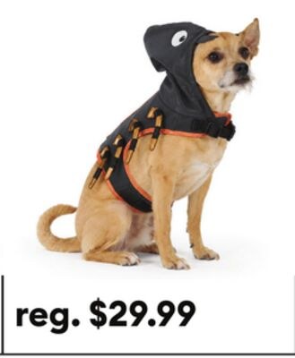 Thrills & Chills™ Halloween Spider Dog Costume …