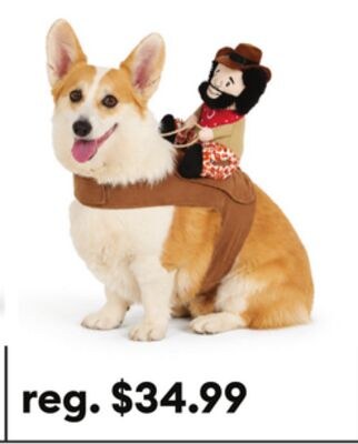 Thrills & Chills® Cowboy Dog Costume