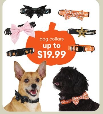 dog collars