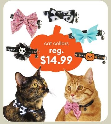 cat collars