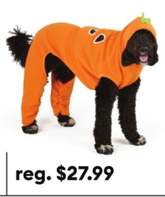 Thrills & Chills® Pumpkin Dog & Cat Sweatsuit