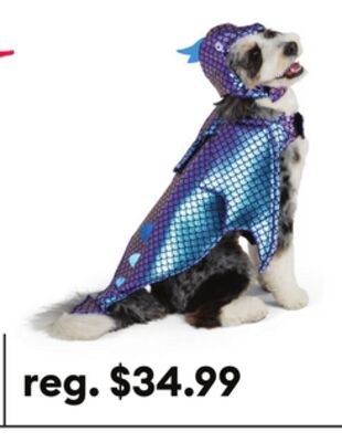 Thrills & Chills® Dragon Dog & Cat Costume