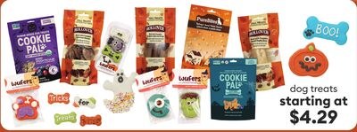 dog treats