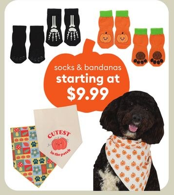socks & bandanas