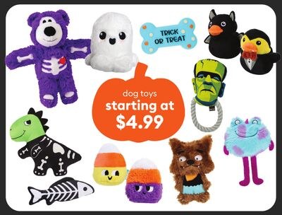 dog toys