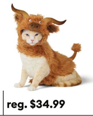 Thrills & Chills® Highland Cow Dog & Cat Costume