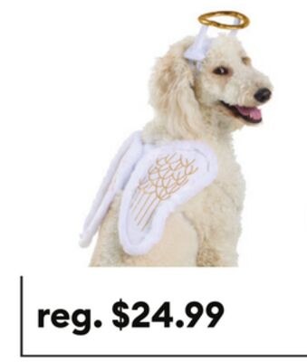 Thrills & Chills® Angel Halo Wings Dog & Cat Co…