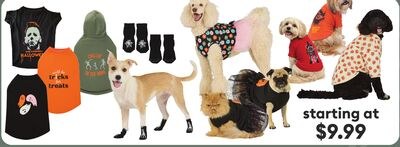 BEWITCHING APPAREL