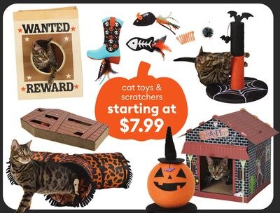 cat toys & scratchers