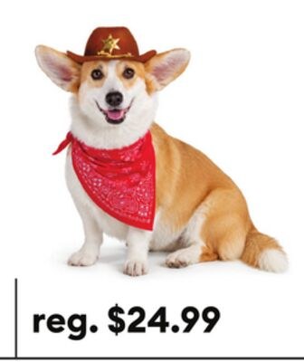 Thrills & Chills® Cowboy Hat & Bandana Dog & Ca…