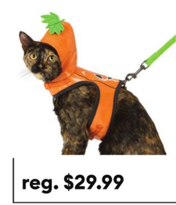 Thrills & Chills™ Halloween Pumpkin Dog Costume…
