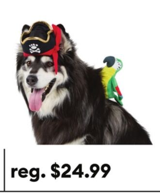 Thrills & Chills® Pirate Dog & Cat Costume Set