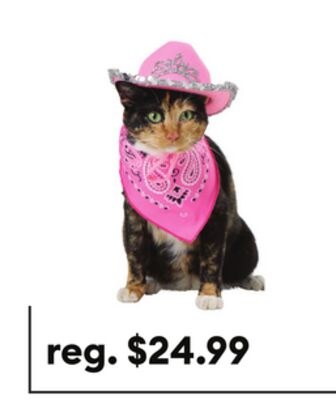 Thrills & Chills® Pink Cowboy Hat & Bandana Dog…