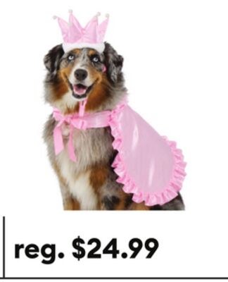 Thrills & Chills® Princess Dog & Cat Costume Set