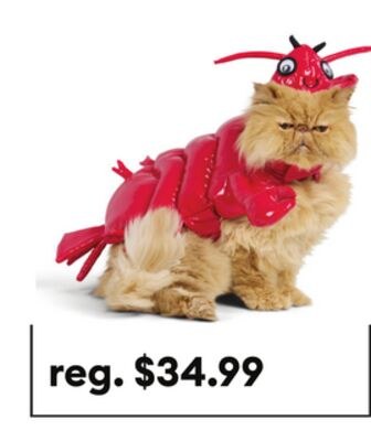 Thrills & Chills® Lobster Dog & Cat Costume