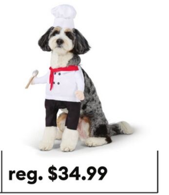 Thrills & Chills® Chef Dog Costume